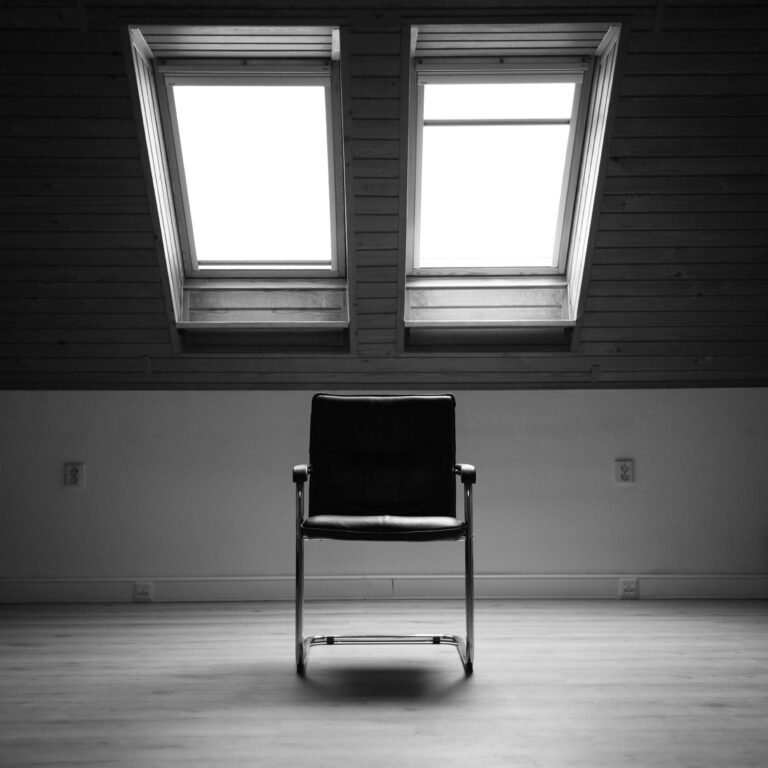 Then They Came Image - A black and white photo with an empty chair in an attic below two skylight windows. Photo by Elimende Inagella on Unsplash