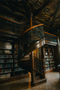 8 Dark Romances You Need To Read After Daggermouth